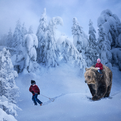 Fantasy digital manipulation of young boy leading a path for his little sister riding a grizzly bear through a winter wonderland during a snowfall, Montana, USA