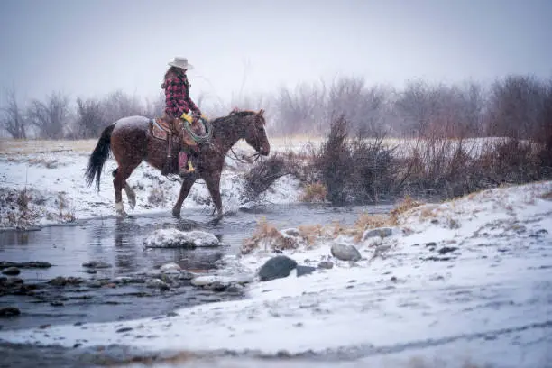 Caucasian woman in red jacket, cowboy hat, leather spurs and gloves rides her quarter horse across a shallow creek during a cold, windy snow storm on a winter day on his ranch in Livingston, Montana, USA