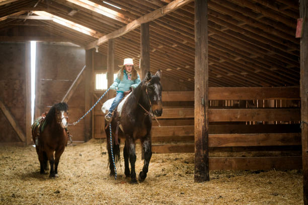 istock Girl riding horse leads a pony inside a barn 1022577694