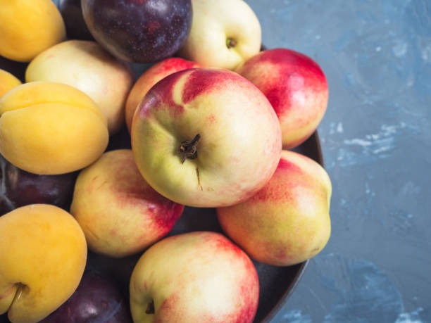 istock ripe nectarines and red plums on a ceramic plate, close-up 1022589912