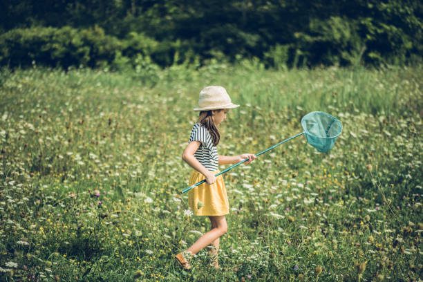 istock She adores chasing butterflies 1022603274