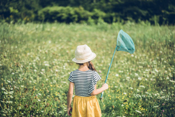 istock Chasing butterflies in a field full with wild flowers 1022605468