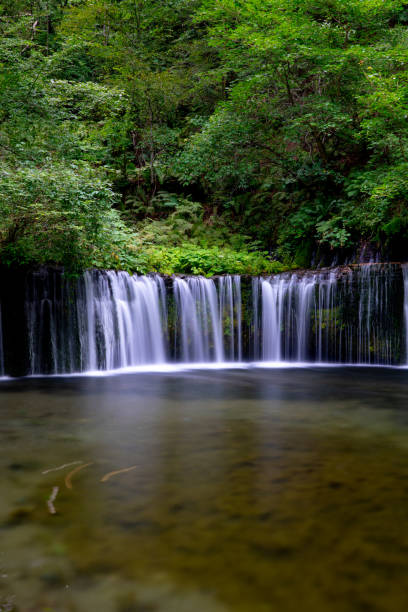 istock Waterfall of Japan 1022628114