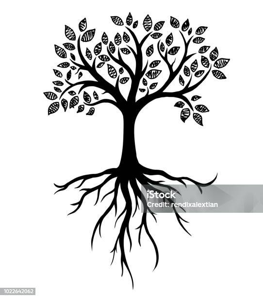 Tree Silhouette With Roots Real Hand Drawing Stock Illustration - Download Image Now - Tree, Root, In Silhouette