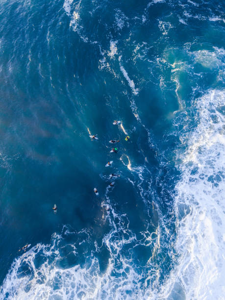 istock Group of Surfers 1022644290