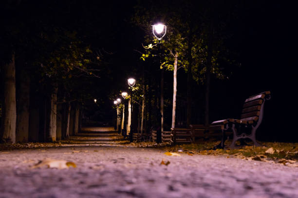 istock Lonely street at the night 1022649552