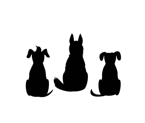 andere gemischte rasse hunde rückseite blick silhouetten isoliert vektorgrafik - mixed breed dog illustrations stock-grafiken, -clipart, -cartoons und -symbole