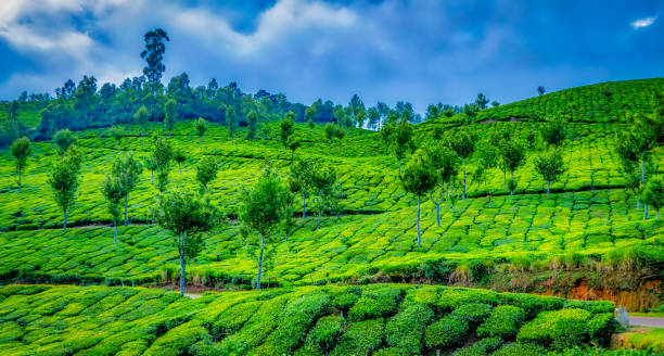 istock Green Mountain and a Cloudy Sky. 1022678836