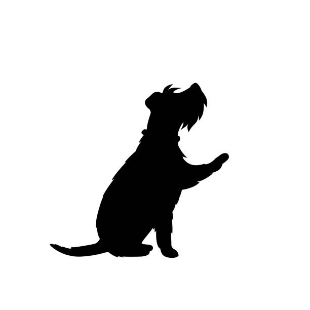 illustrazioni stock, clip art, cartoni animati e icone di tendenza di cane carino dando una zampa nero silhouette vettoriale grafica - giant schnauzer