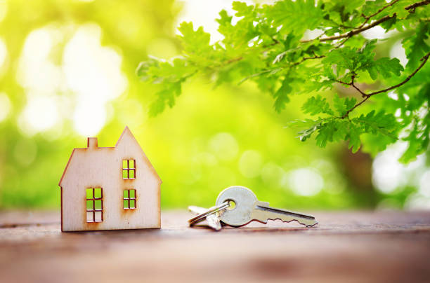 wooden house on the grass wooden house model on the grass in garden japan small apartment stock pictures, royalty-free photos & images