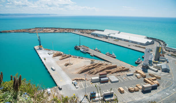 widok na krajobraz na port napier drugi co do wielkości port eksportowy na wyspie północnej w napier, nowa zelandia widok ze wzgórza bluff. - wooden hub zdjęcia i obrazy z banku zdjęć