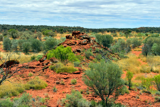 Australia, NT, public Ewaninga Conservation Reserve, area with prehistoric engravings and Aborigines historical site
