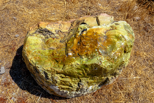 The seaside rocks on a sunny day