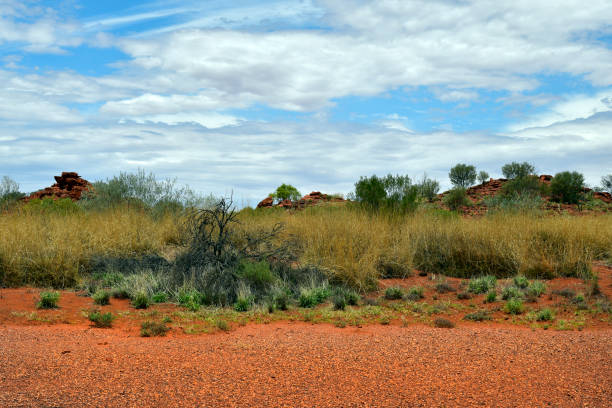 Australia, NT, public Ewaninga Conservation Reserve, area with prehistoric engravings and Aborigines historical site