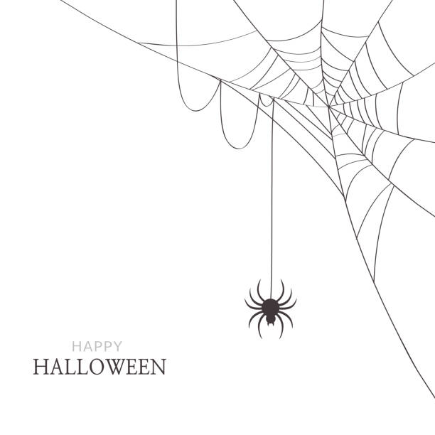 ilustraciones, imágenes clip art, dibujos animados e iconos de stock de araña y telaraña sobre fondo blanco. tarjeta de felicitación del feliz halloween - telaraña