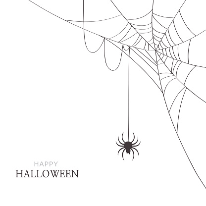 Halloween,holiday,spider,web,cobweb,black,white,greeting,card,decoration,design,illustration