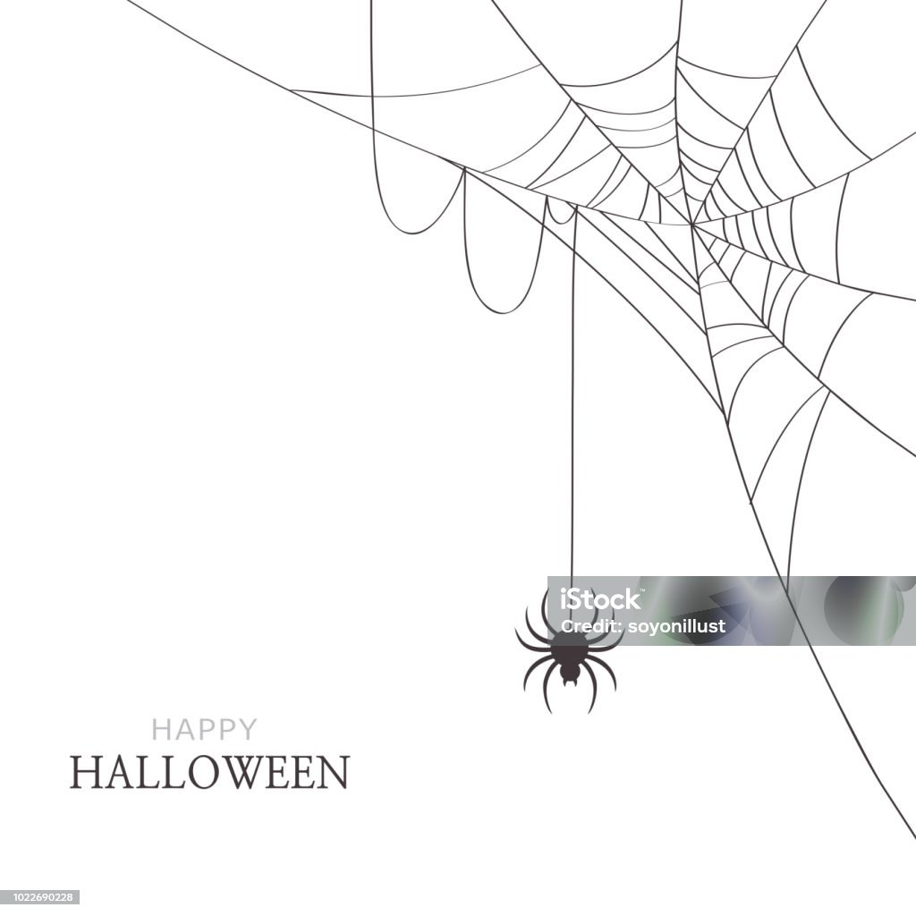 Spider and cobweb on white background.Happy Halloween greeting card Halloween,holiday,spider,web,cobweb,black,white,greeting,card,decoration,design,illustration Spider Web stock vector