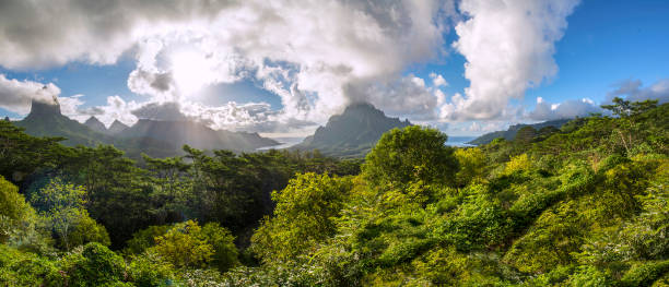 istock Belvedere Lookout panorama 1022693234