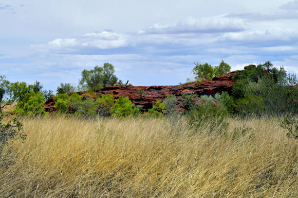 австралия, nt, заповедник эванинга - aborigine grass family australia indigenous culture стоковые фото и изображения