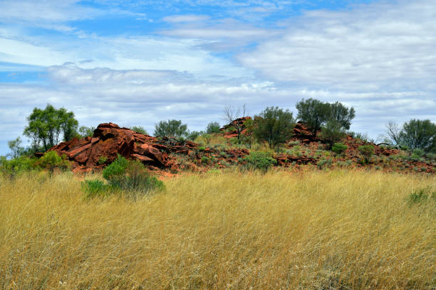 австралия, nt, заповедник эванинга - aborigine grass family australia indigenous culture стоковые фото и изображения