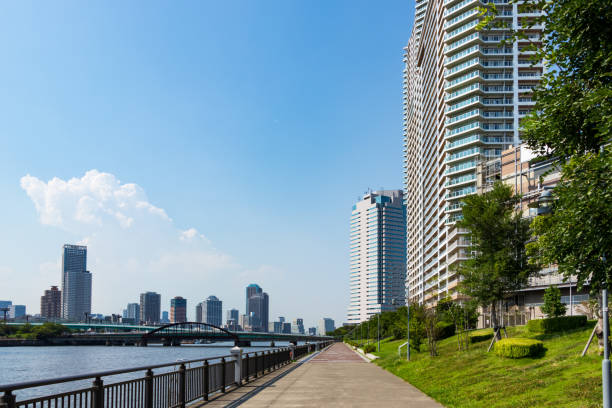 istock Landscape around Toyosu canal 1022699116