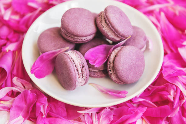 istock Pink peony petals with macarons 1022699530