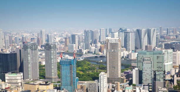 istock panoramic view to the Tokyo, Japan from air 1022701898