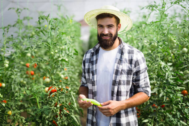 istock Friendly farmer at work in greenhouse 1022707448