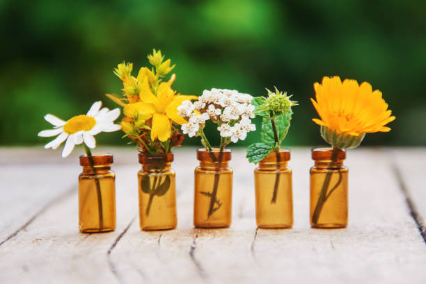 istock extracts of herbs in small bottles. Selective focus. 1022712770
