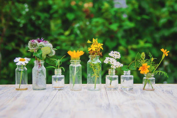 extraits d’herbes dans petites bouteilles. mise au point sélective. - ayurveda herb alternative medicine herbal medicine photos et images de collection