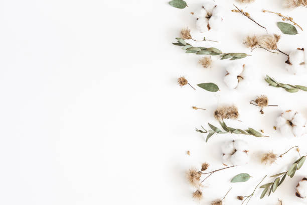 istock Autumn composition. Frame made of eucalyptus branches, dried flowers on white background. Autumn, fall concept. Flat lay, top view, copy space 1022720502
