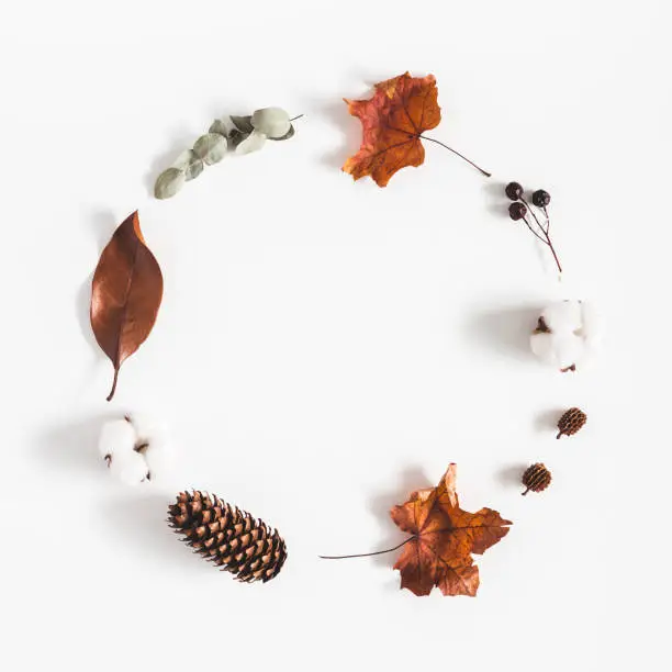 Photo of Autumn composition. Wreath made of eucalyptus branches, cotton flowers, dried leaves on white background. Autumn, fall concept. Flat lay, top view, copy space, square