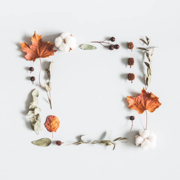 istock Autumn composition. Frame made of eucalyptus branches, cotton flowers, dried leaves on pastel gray background. Autumn, fall concept. Flat lay, top view, copy space, square 1022720986