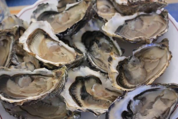 istock Hollow oysters open and lemon  French oysters 1022731616
