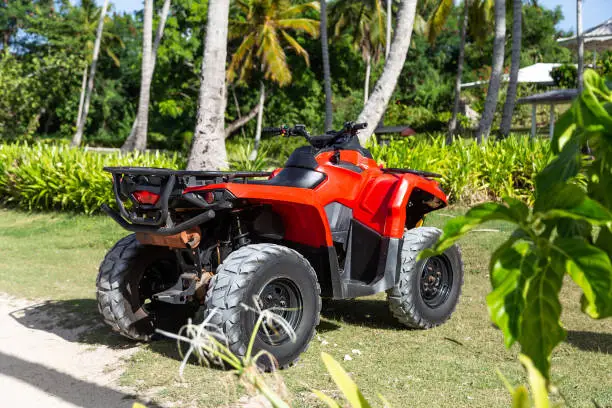 Photo of ATV parked in a tropical garden