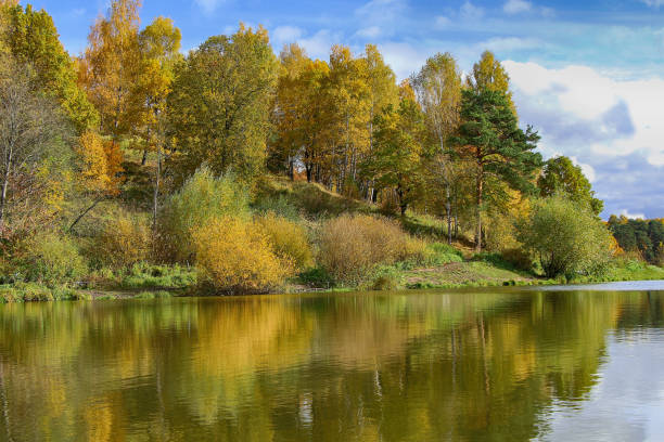 Photo of Beautiful autumn forest landscape