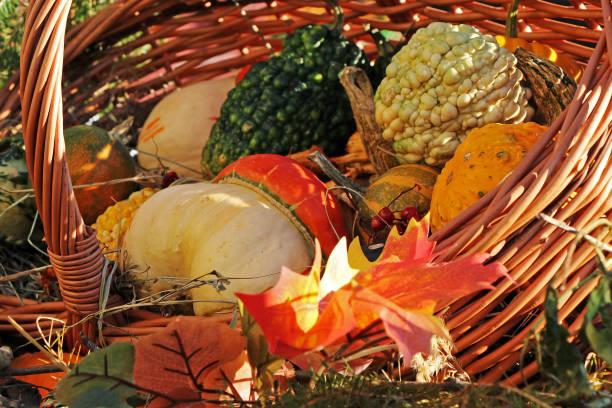istock Autumnal basket with leaves and vegetables 1022738762