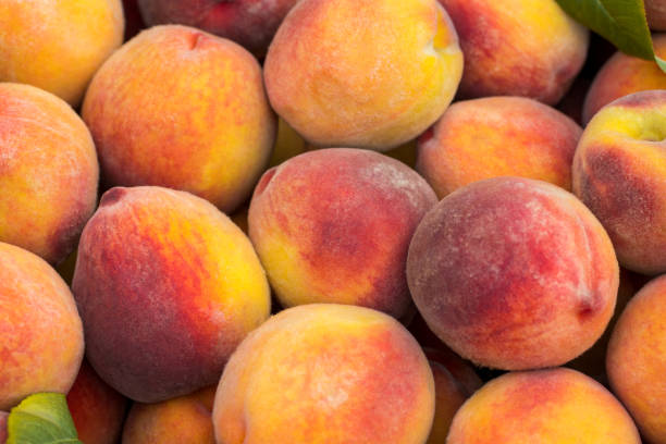 istock fresh ripe peaches in the box ready for sale 1022742568