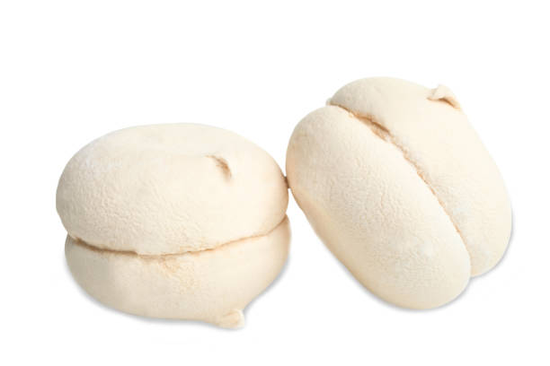 istock White marshmallows with taste of latte 1022745802