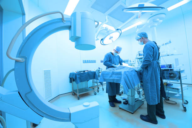 istock two of veterinarian surgery in operation room 1022753792