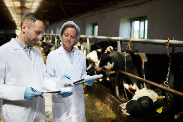 istock Specialists of farm 1022759846