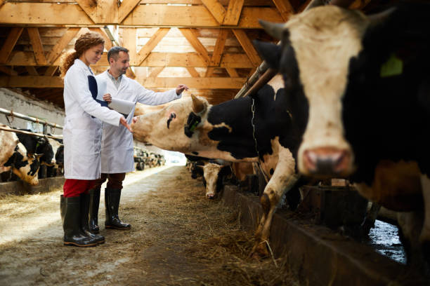 Farmers in kettlefarm