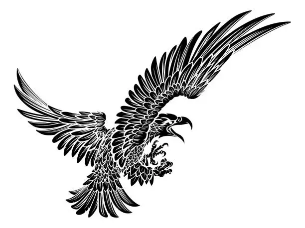 Vector illustration of Eagle Bird Swooping