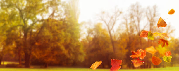 istock idyllic golden autumn background 1022763006