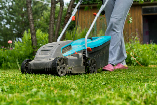 istock outdoor worker mowing the lawn 1022768574