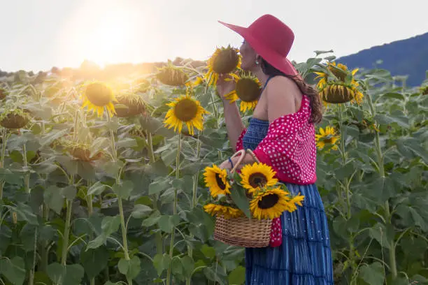 Photo of Woman with sunflowers