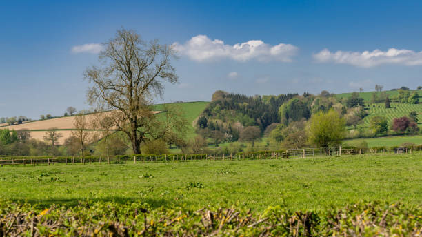 istock Shropshire landscape, England, UK 1022769272