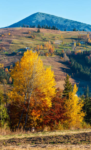 istock Autumn Carpathian village, Ukraine. 1022775386