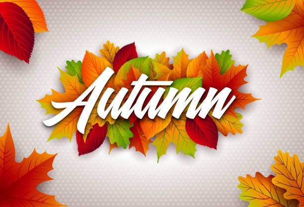 istock Autumn Illustration with Colorful Leaves and Lettering on Clear Background. Autumnal Vector Design for Greeting Card, Banner, Flyer, Invitation, brochure or promotional poster. 1022781378