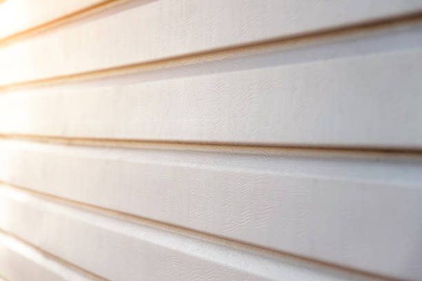 istock Part of the siding 1022781774